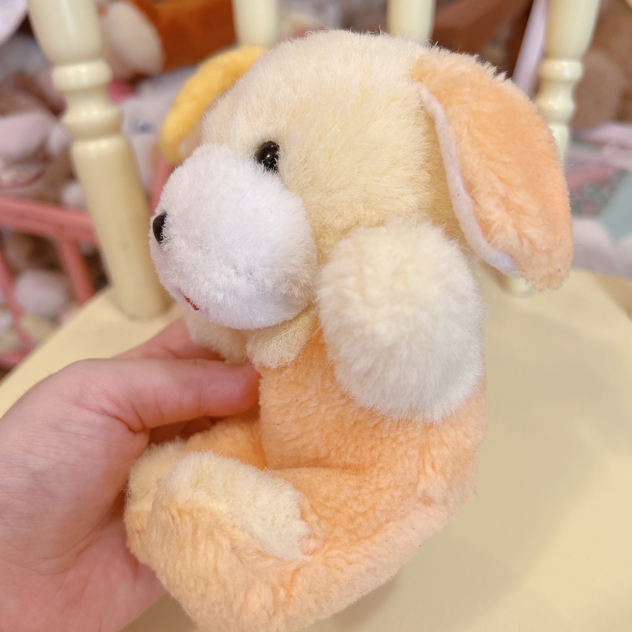 dogの画像09