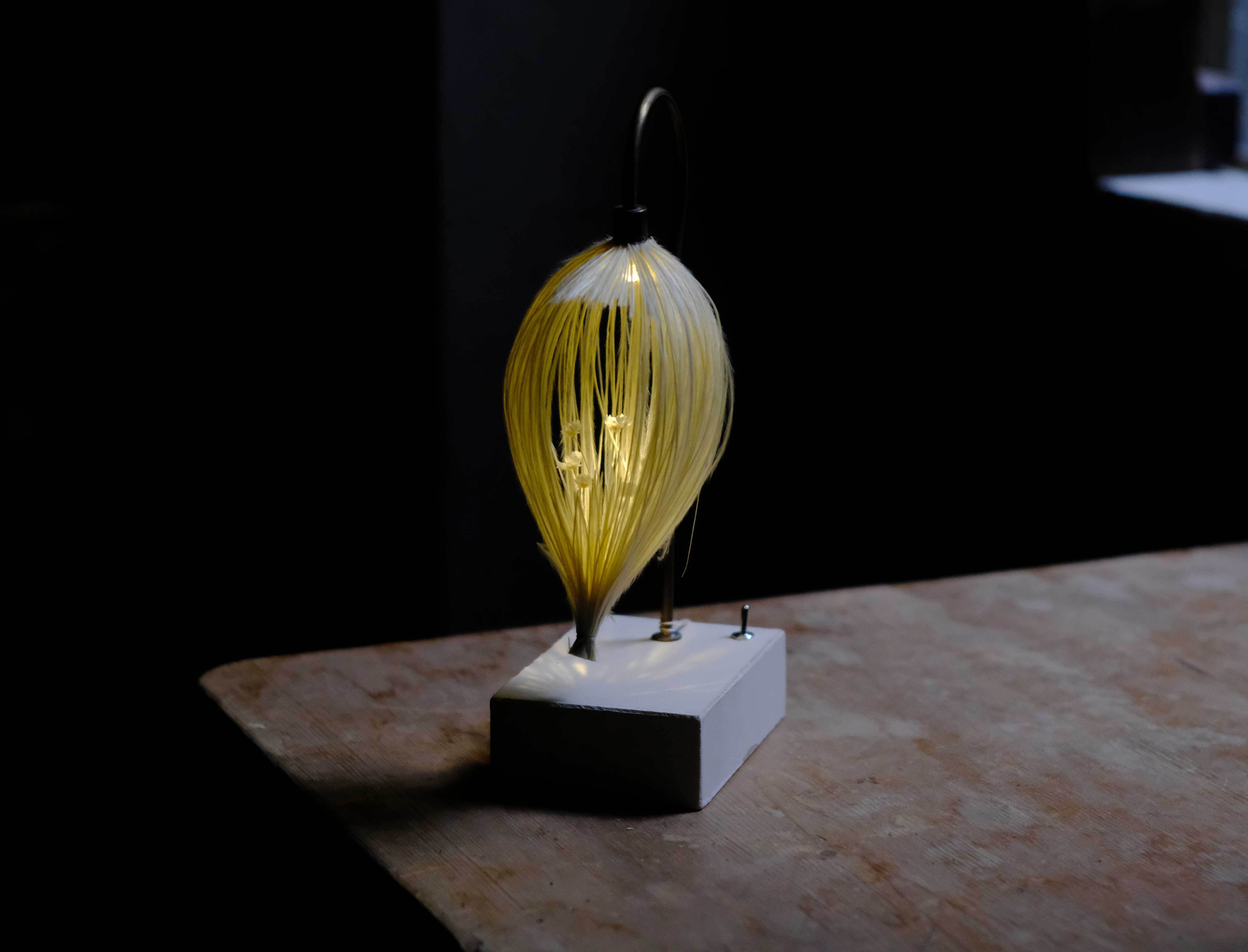 LAMP/照明・ランプ | はいいろオオカミ＋花屋西別府商店