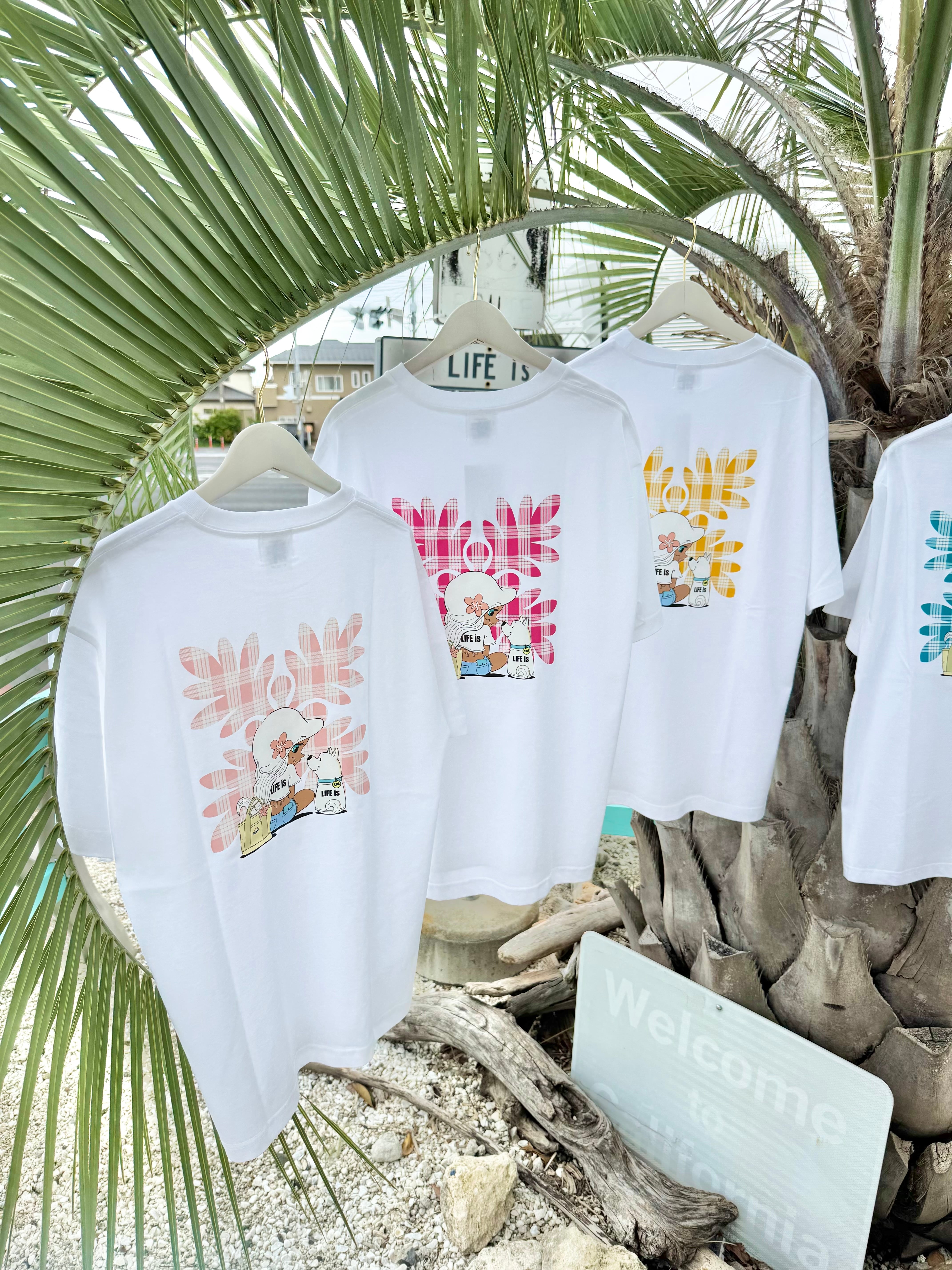 【mapuaコラボ】パラカチェック ラウアエTシャツ ¥6,990×tax