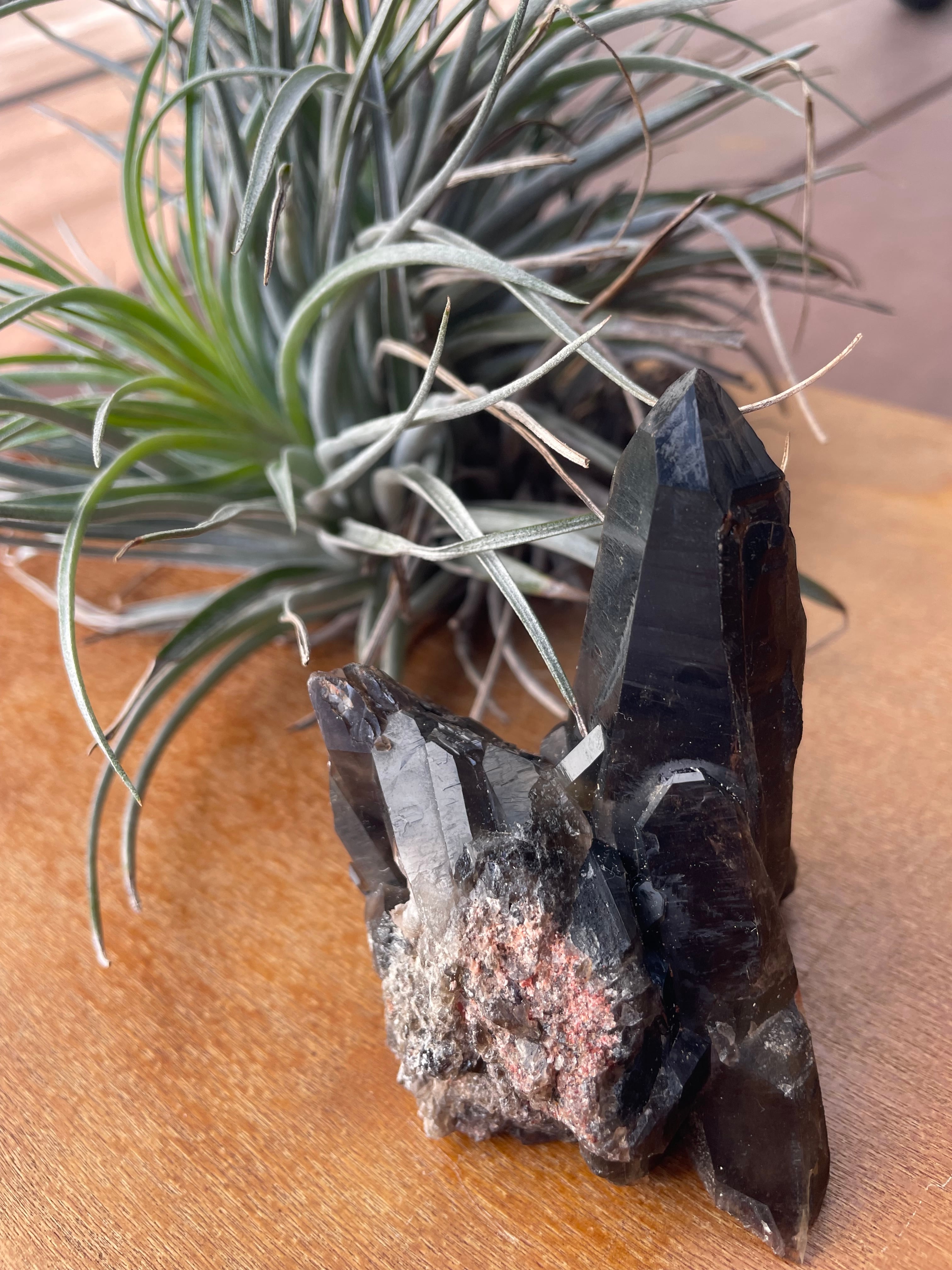 Pino ふれっしゅじぇむ