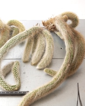 発根済カット苗 クレイストカクタス カラデモノ 20cm超 群生 Cleistocactus winteri ssp.colademono