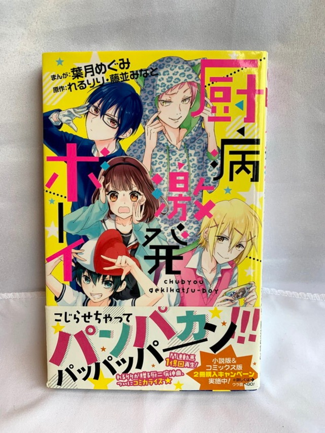 厨病激発ボーイ りぼんマスコットコミックス Usedbook151e
