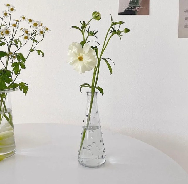【お取り寄せ】インテリア ins風 置物 ガラス花瓶 撮影道具 水培生け花 卓上装飾