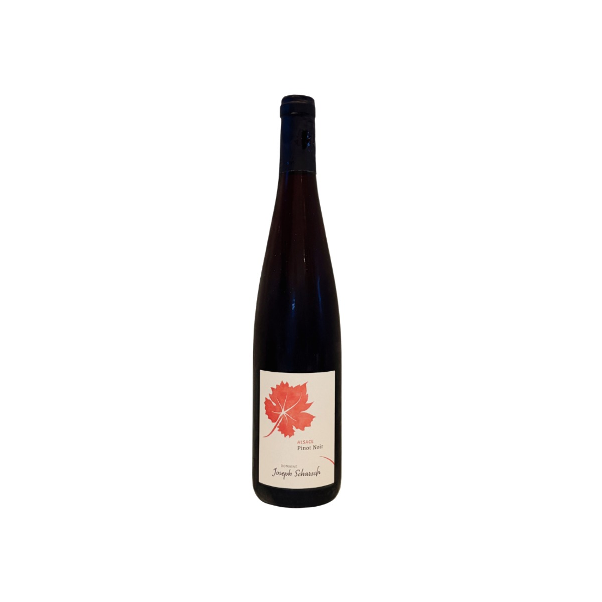 ジョセフ・シャルシュ ピノ・ノワール 2024 | GALLERY&WINE MARGHU