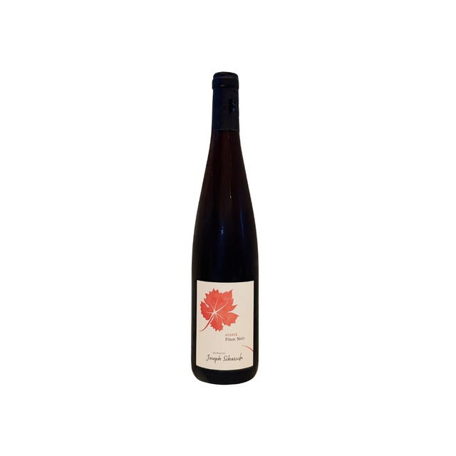 ジョセフ・シャルシュ ピノ・ノワール 2024 | GALLERY&WINE MARGHU