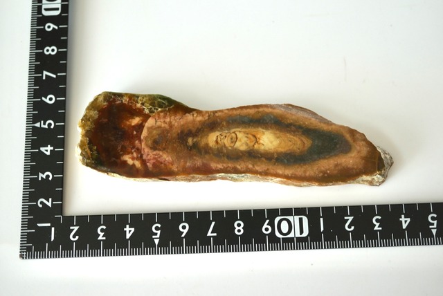 モリソナイト・ジャスパー Morrisonite Jasper 1419