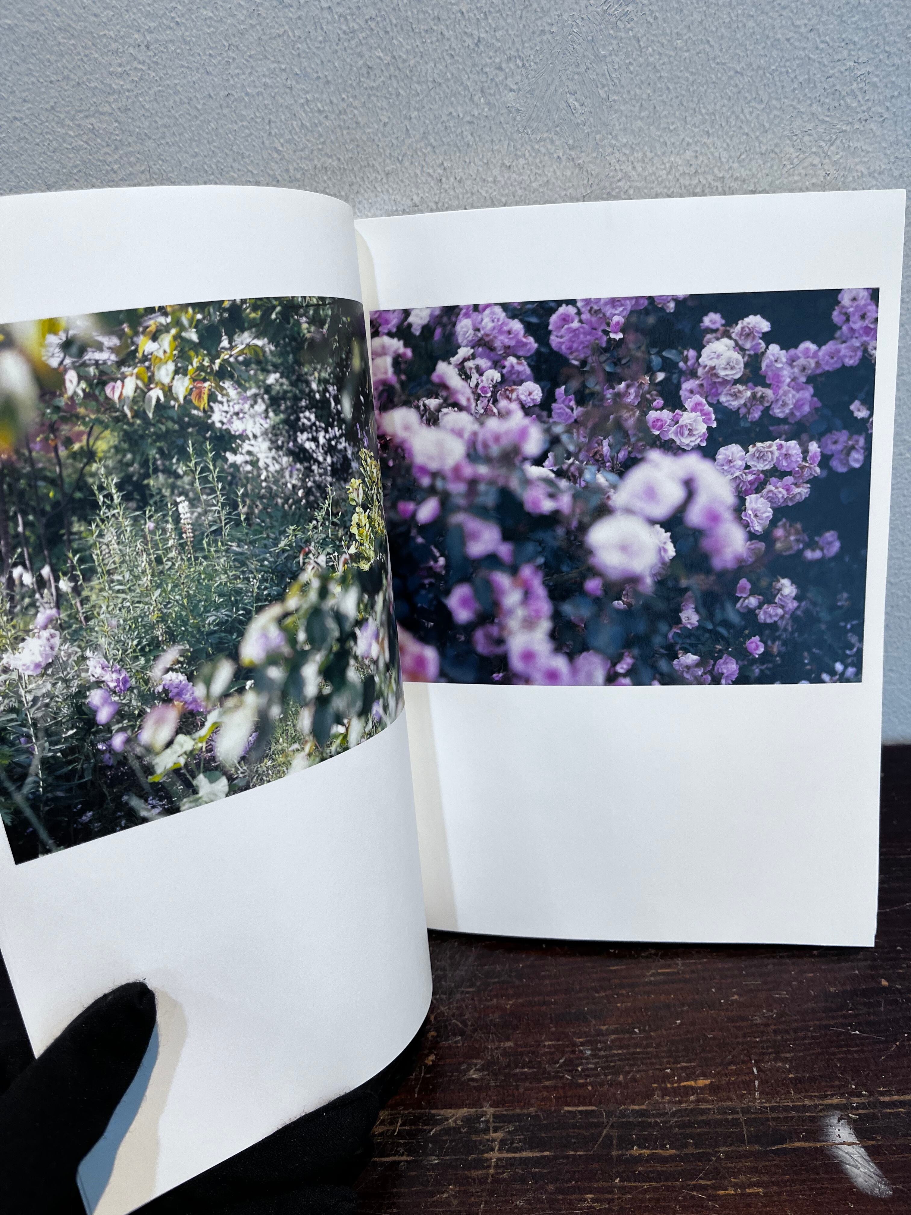 写真分離派宣言 鈴木理策 鷹野隆大 松江泰治 | zbooks
