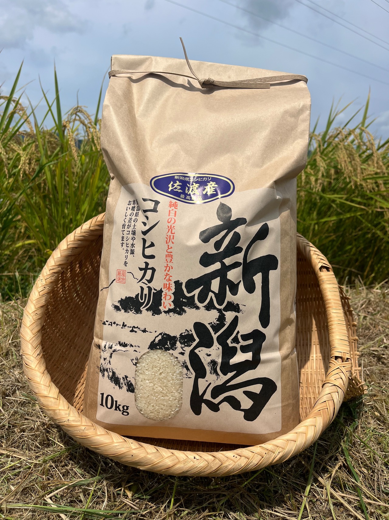 令和8年佐渡産コシヒカリ　10㎏・画像2