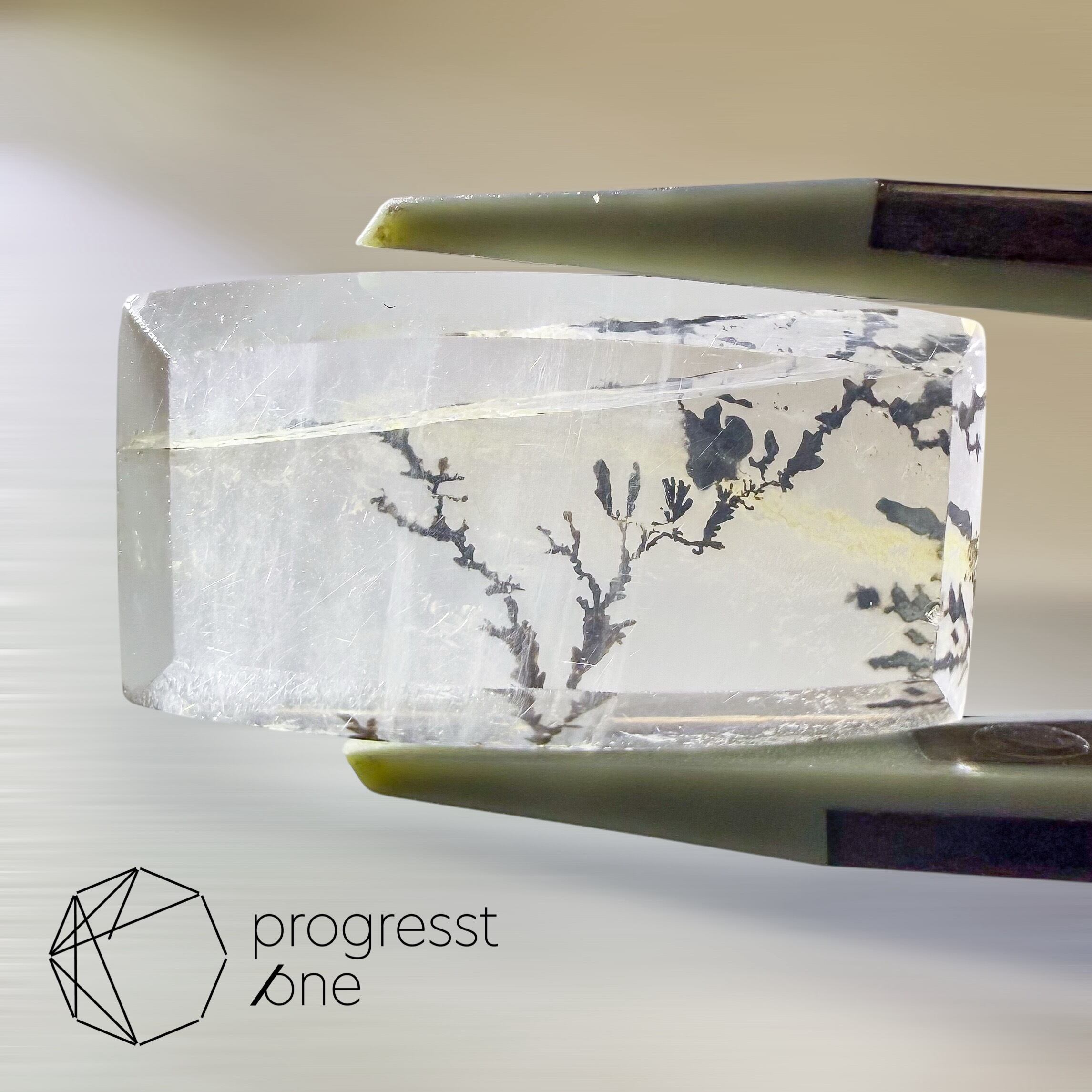 デンドライトインクォーツ9.99ct | progresstone