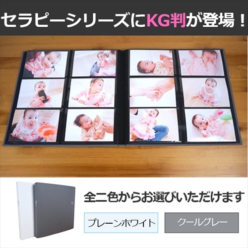 セラピーカラー KG判6面ポケットアルバム 2列×3段 KG判240枚収納 TCPK