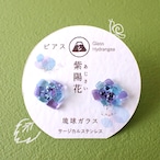 季節限定! あじさい
