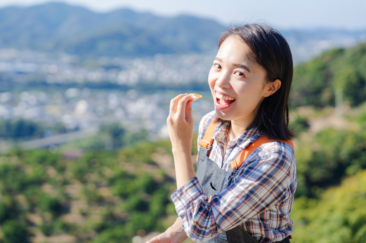 不意打ちみかん(YN26-和歌山限定品種)3キロ