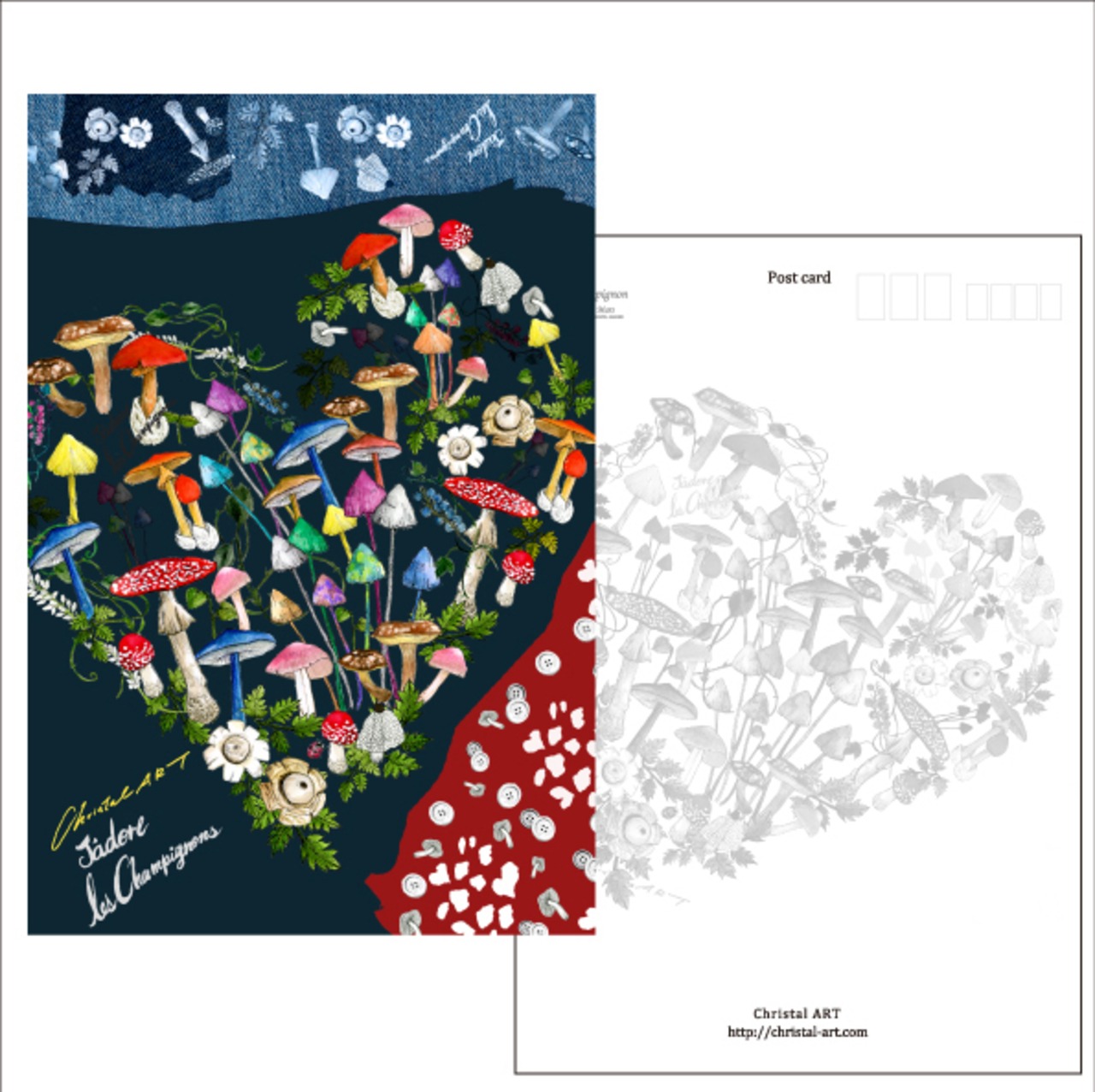キノコのポストカード 5枚セット
