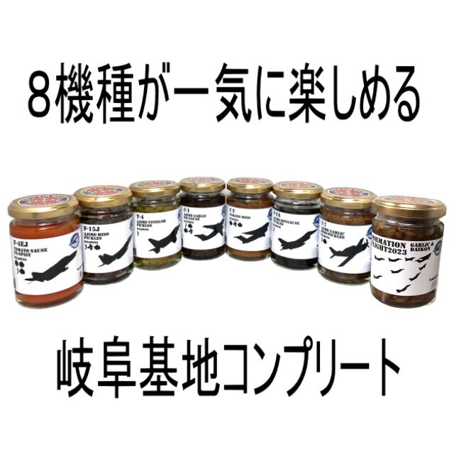 【送料無料】岐阜基地コンプリートセット