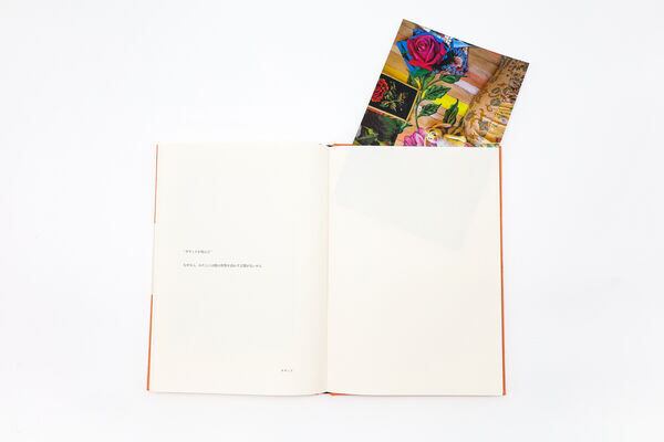 なぜなら』 ソフィ・カル | toi books