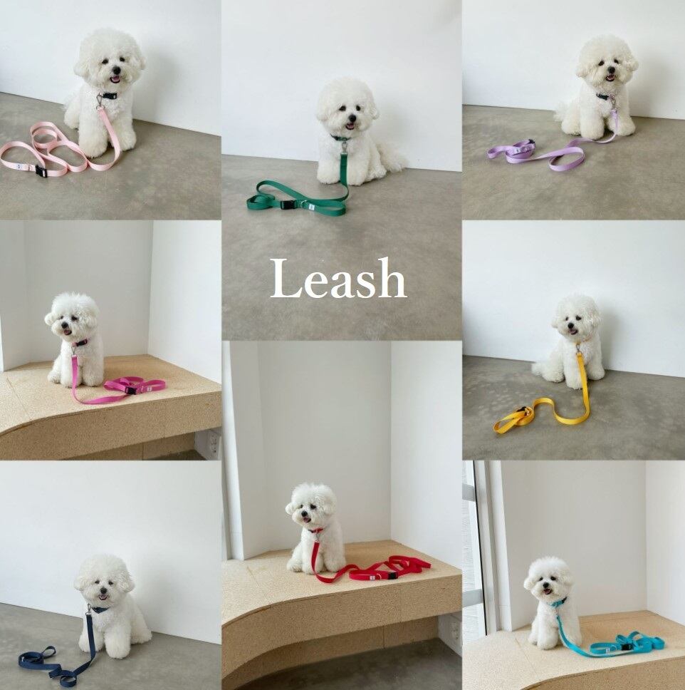 予約【ounce】Basic color handsfree leash《8Color》