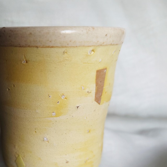 金城 和樹  フリーカップ a