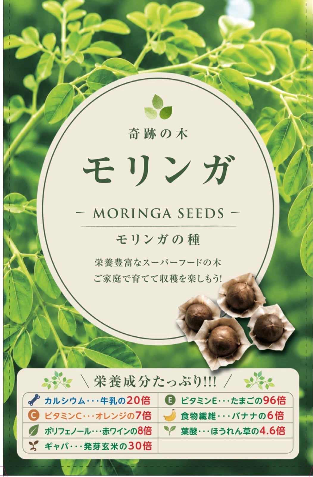 沖縄ハーブ「モリンガ種子(10粒)」 | wakabaseed