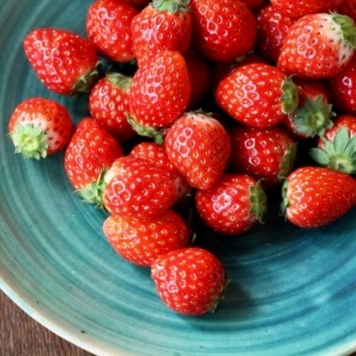 紅ほっぺ苺の発酵ドライフルーツ｜ギフト・お菓子・おやつ・発酵