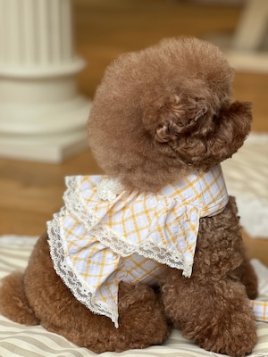 予約【POEME】Butter Como Harness