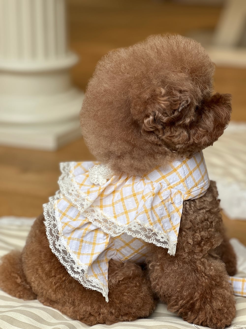 予約【POEME】Butter Como Harness
