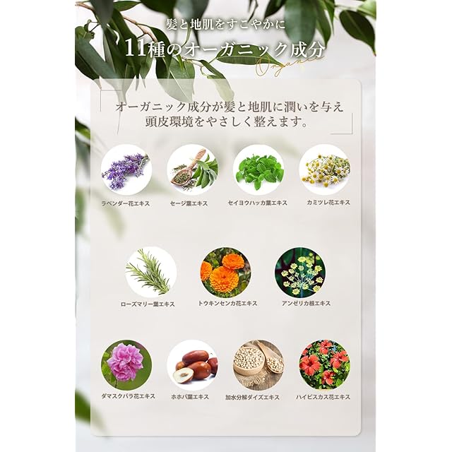 ミルエ オーガニック シャンプー トリートメント セット 500ml 美容室