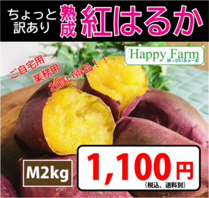 「ちょっと訳あり」熟成紅はるか M2kg