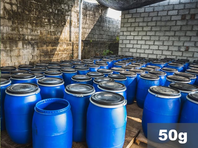 【少量50g】中国 | 雲南 デーホン イーストファーメンテーションハニー | コーヒー豆50g