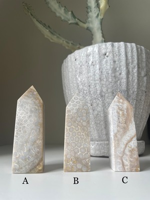 Fossil Coral Tower / フォッシルコーラル　タワー