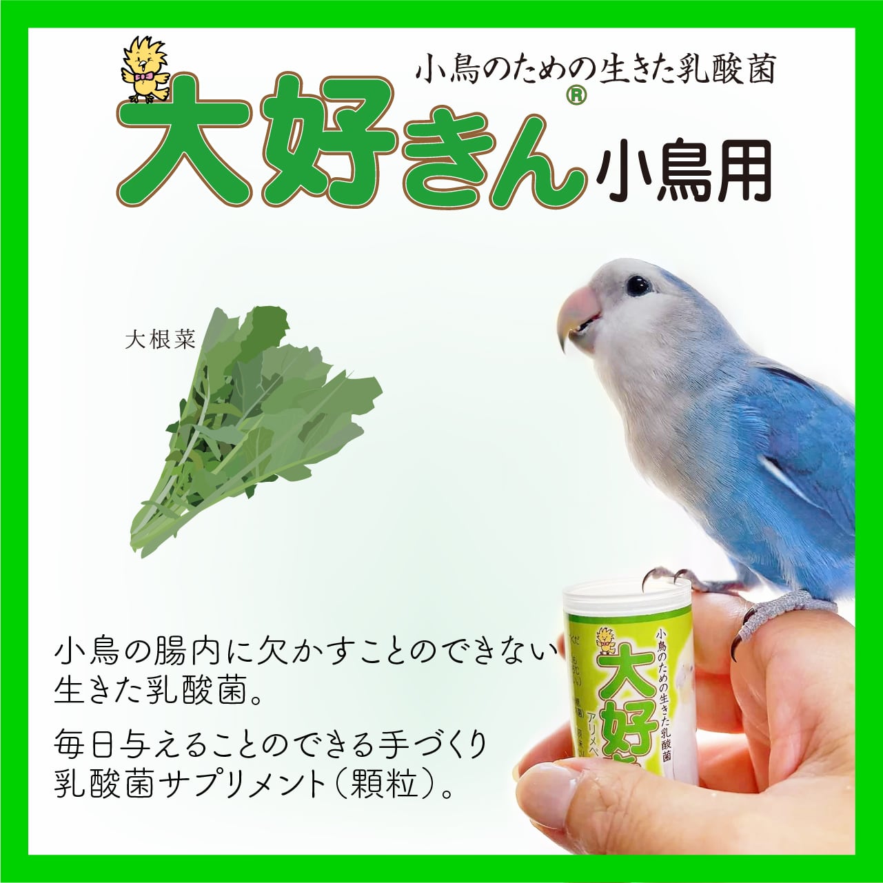 生き物大好きです！ 大好きん 12g 小鳥のための生きた乳酸菌 : とりっぴー小鳥用品