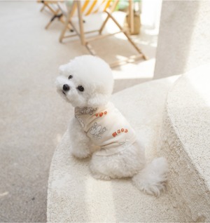 予約【coco chien】Chichi T-shirt (mint)