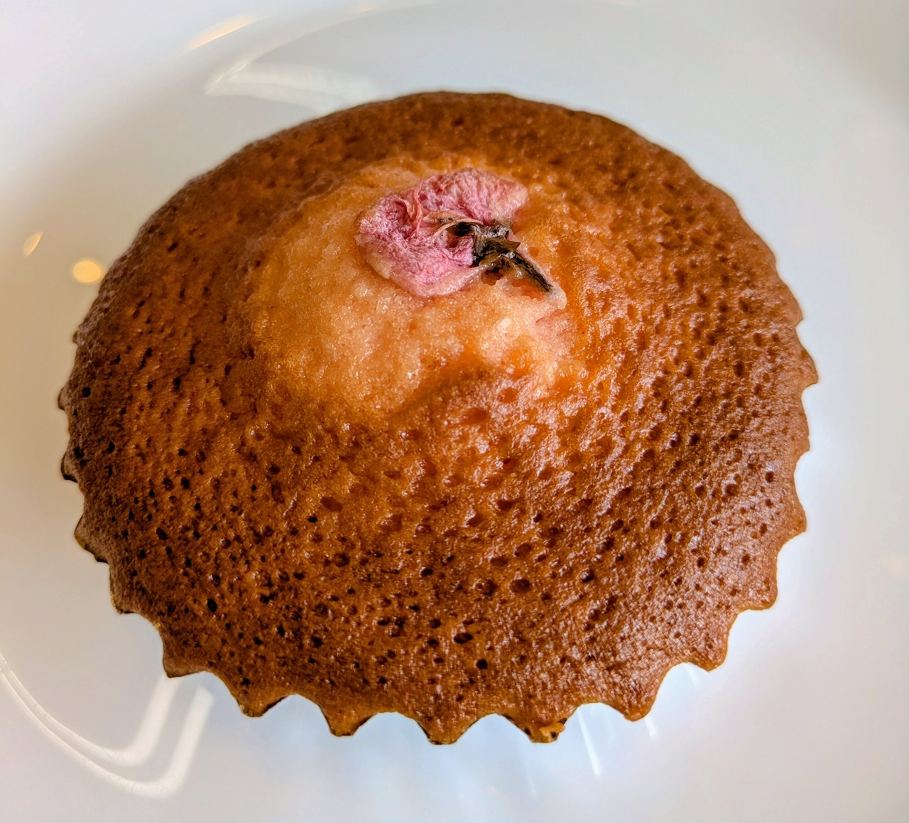 【春季限定】さくらマドレーヌ