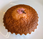 【春季限定】さくらマドレーヌ