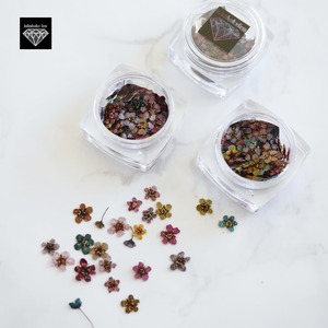 Gem PRESSED FLOWERS SPIREA -コデマリ-