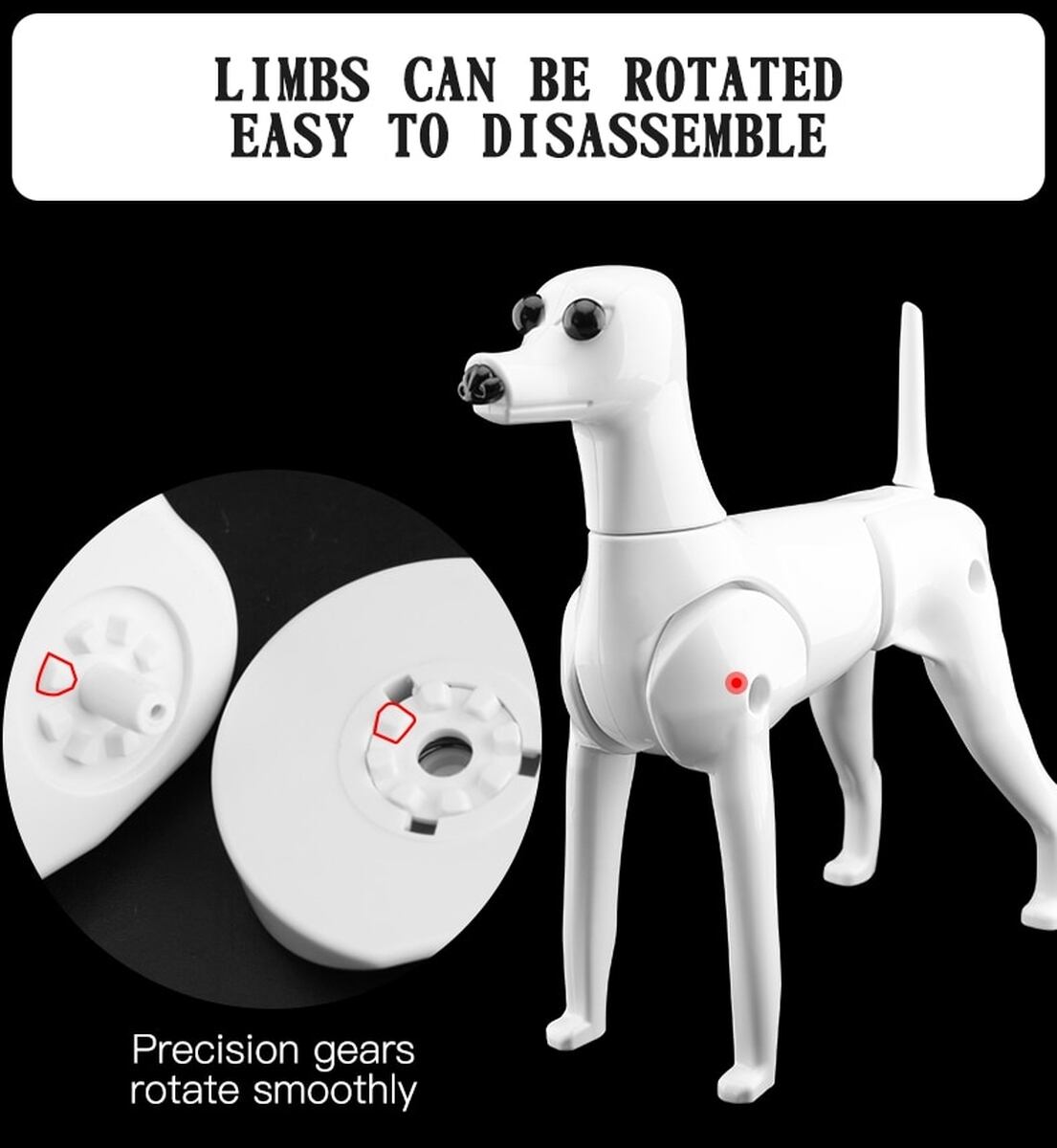 モデルドッグ ヘアー付き プードル テディー ビション 犬 カットモデル