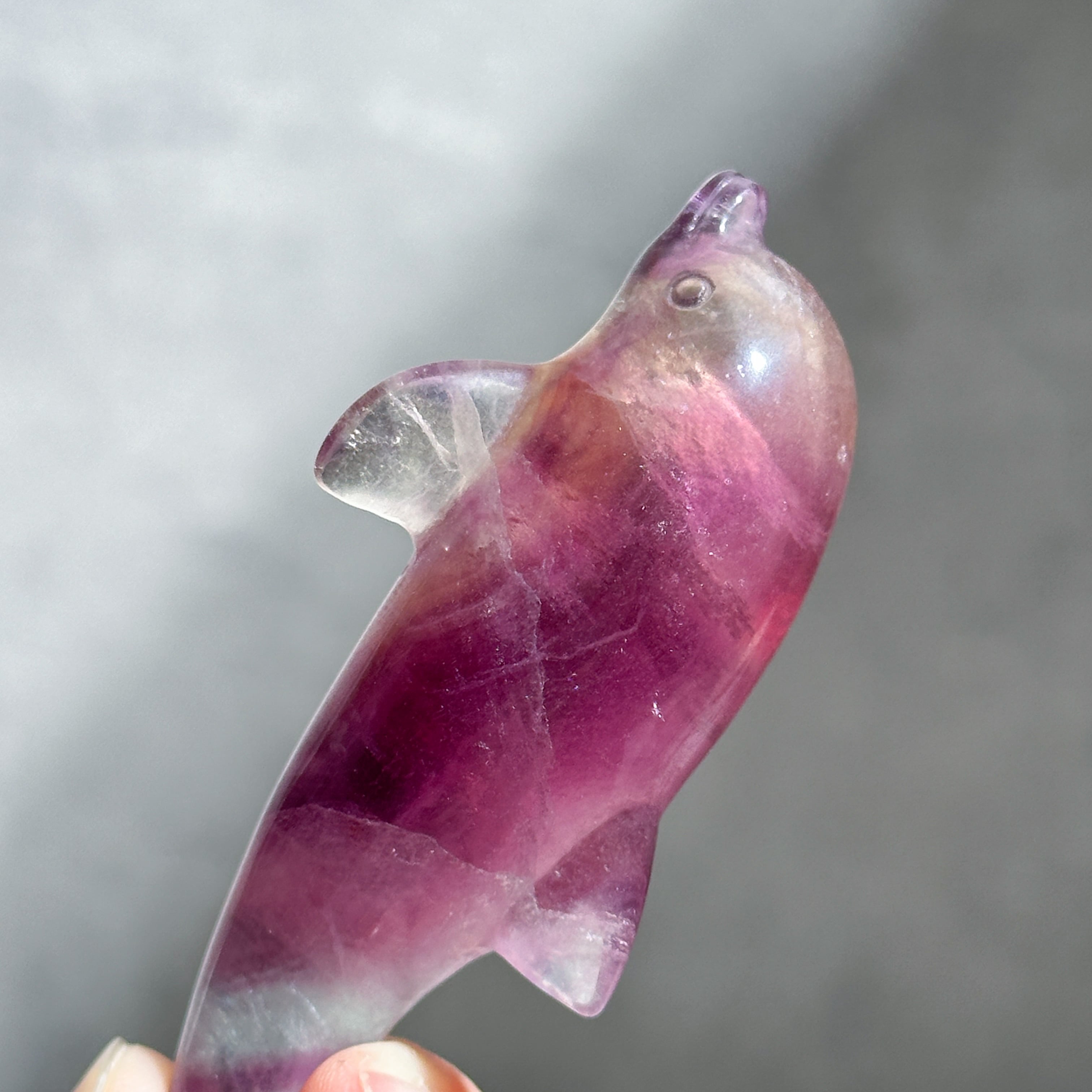 レインボーフローライト イルカ33◇Fluorite◇天然石・パワーストーン