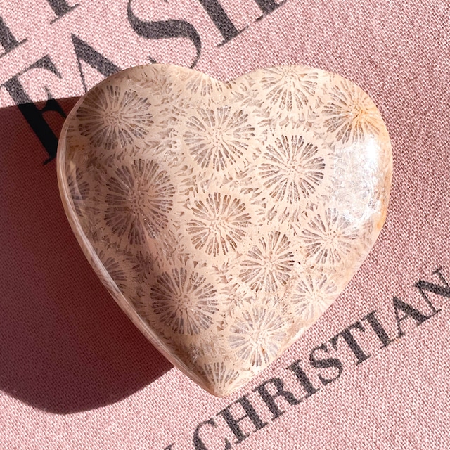 Fossile Coral Heart １✧ フォッシルコーラル