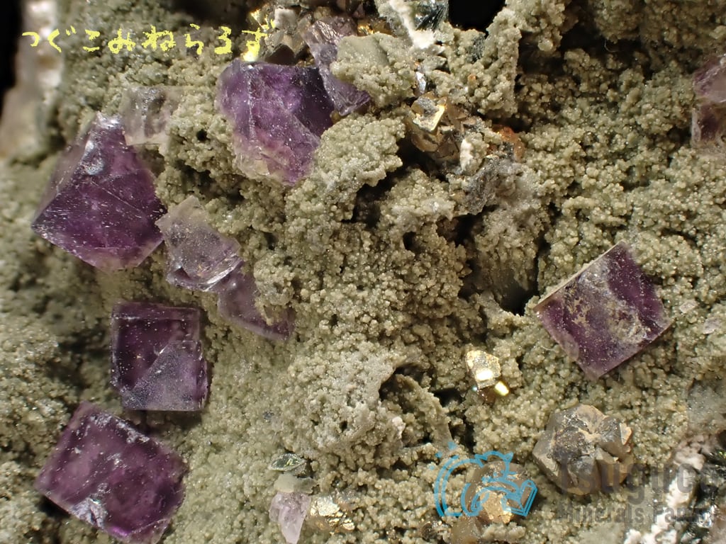 フローライト 蛍石 Fluorite ポルトガル TM-0005