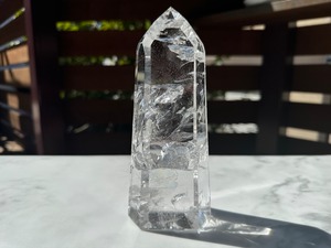 夢を叶えるりんごの樹58