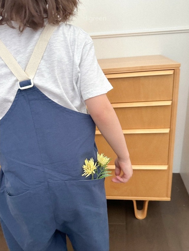 〘予約〙digreen / nova overalls
