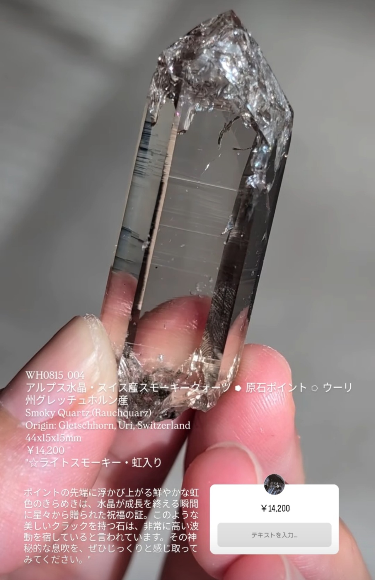 ⭔ お客様専用ページ ✦ e_mau.b