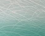 笠井正博「虫の視線 1」 KASAI Masahiro "la vue de insecte(Ⅰ)" silkscreen print, sheet thumbnail 2