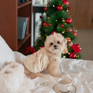 即納【cheese n mood】ベロアワンピース　(アイボリー)