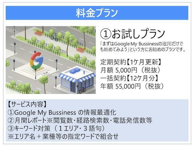 定期契約【1ケ月更新】お試しプラン｜Google MEO対策