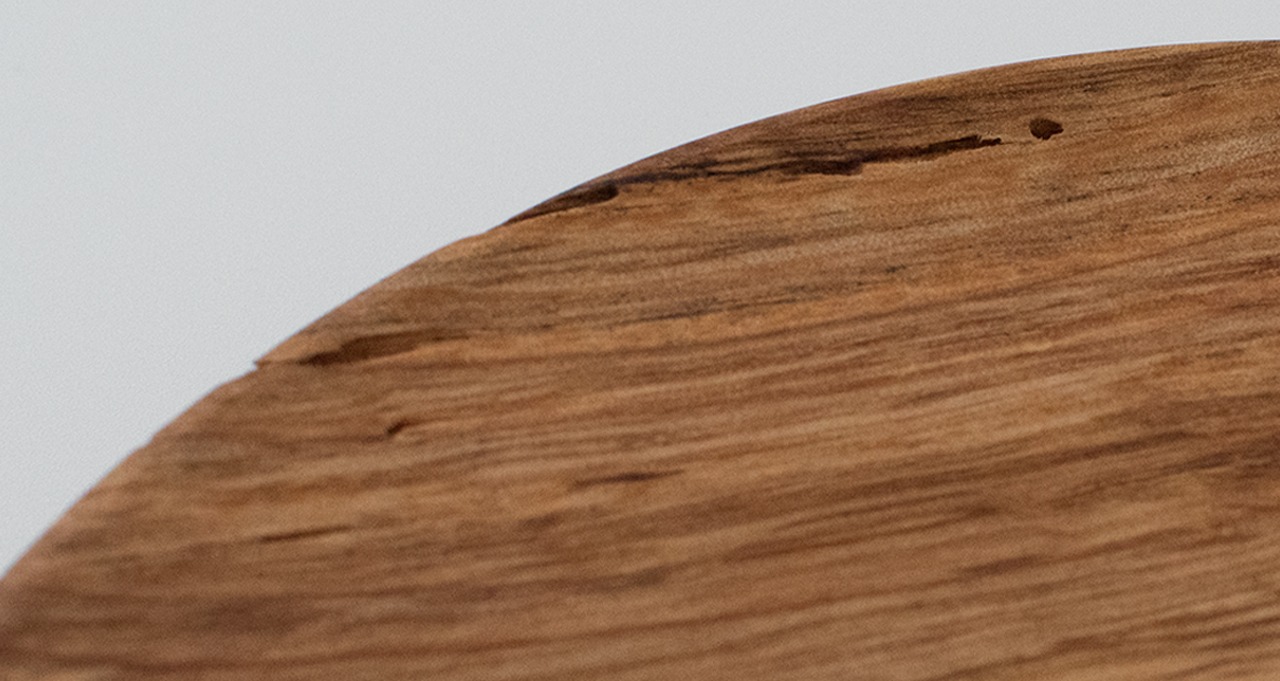 日常のパン皿｜黄色の差し色が魅力｜椎の木B