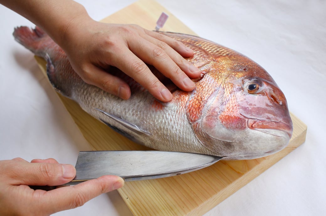 宇和島産 ブランド真鯛「鯛一郎クン」丸一尾 | ととぶつや 宇和島産 ブランド真鯛「鯛一郎クン」丸一尾 | ととぶつや