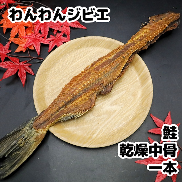 鮭 乾燥中骨 一本もの