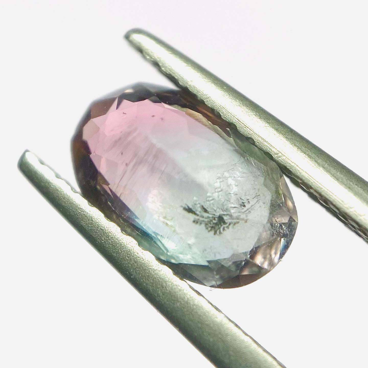 羽根羽ばたく パーティーカラートルマリン