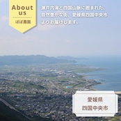 <10月下旬より順次発送>【産地直送】レインボーレッドキウイ Mサイズ 約24個(約2.0Kg)