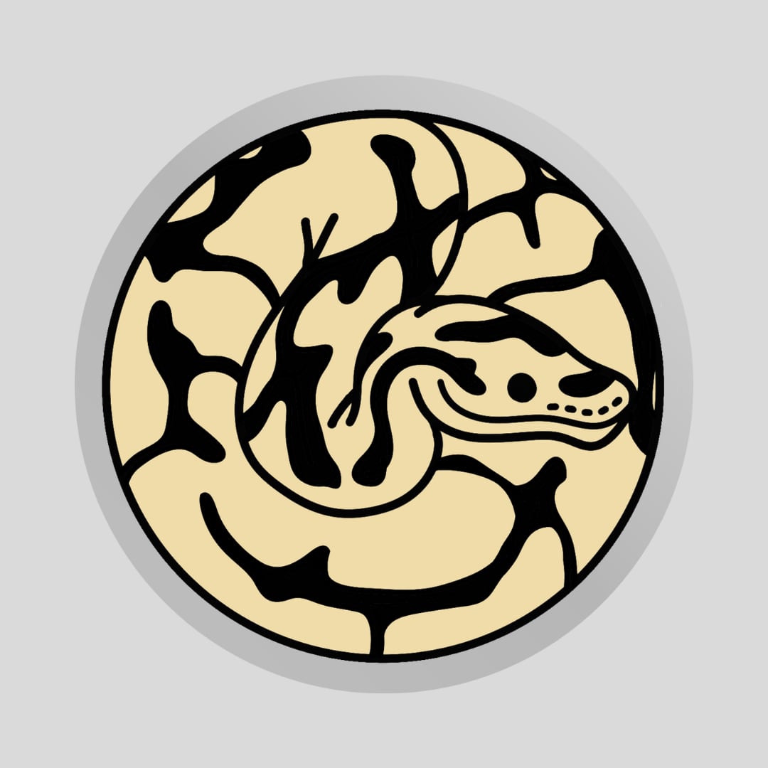 ボールパイソンクッキー缶【スパイダー】